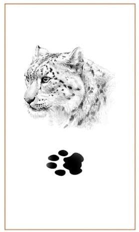 Snow Leopard head & track|Bushprints