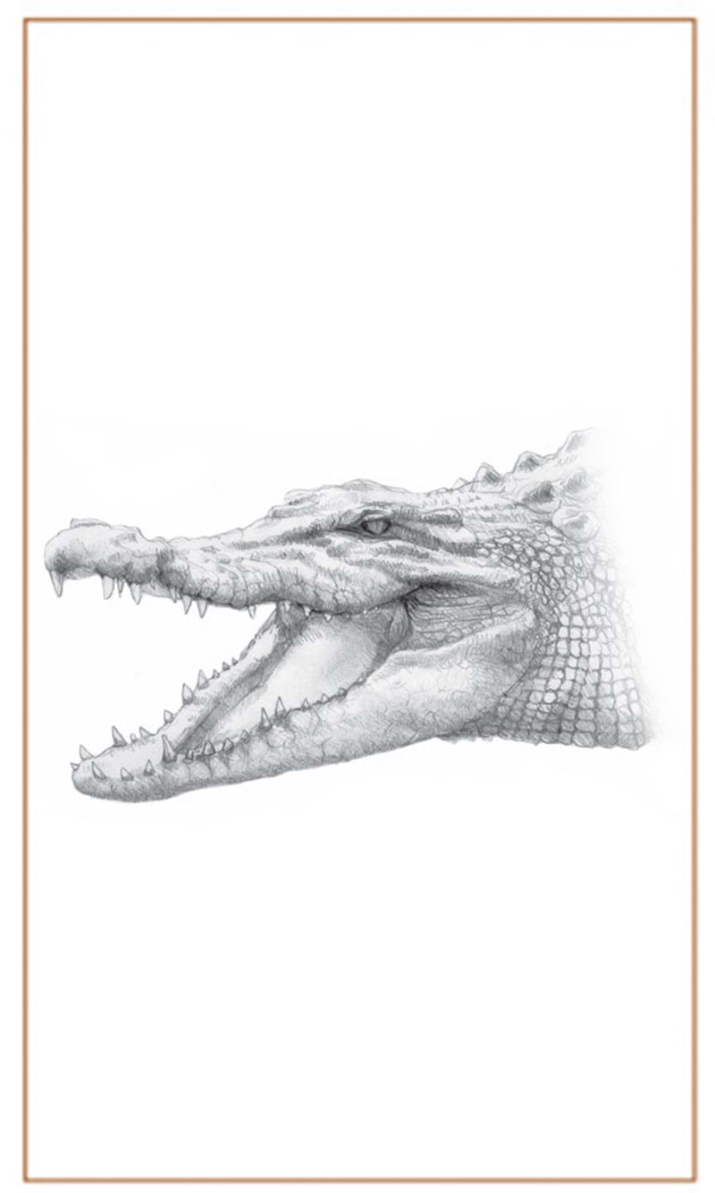 Crocodile-Saltie-Bushprints Jewellery