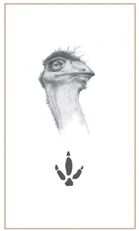 Australian wildlife souvenir jewellery|emu footprint bracelet