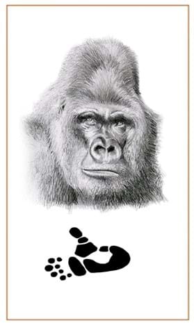 Gorilla drawings by Bushprints Jewellery