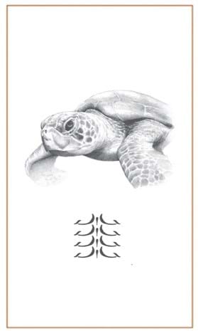 Turtle drawings by Bushprints Jewellery