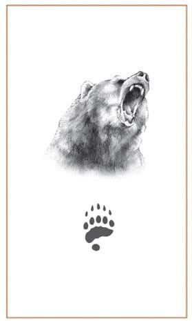 Grizzly Bear head & foot-Bushprints