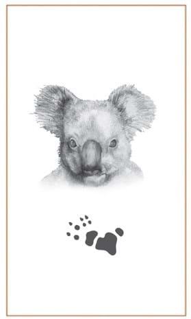Koala drawings by Bushprints Jewellery