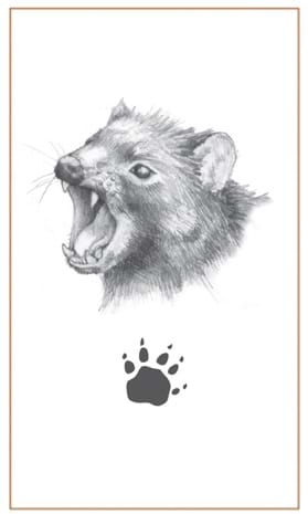 Australian gifts & souvenirs: Tasmanian Devil Print Earrings