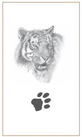 Tiger head & tracks-Bushprints